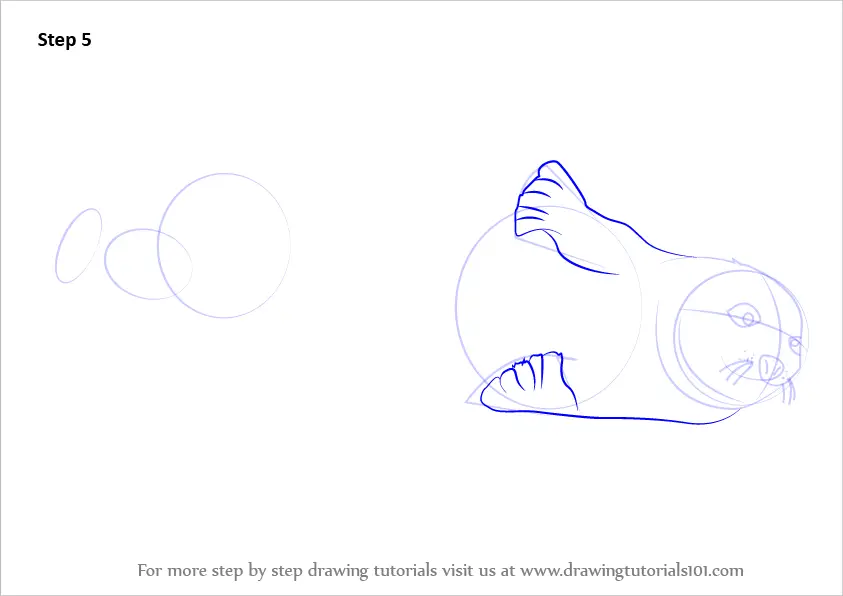 Learn How to Draw a Harp Seal (Seals) Step by Step Drawing Tutorials