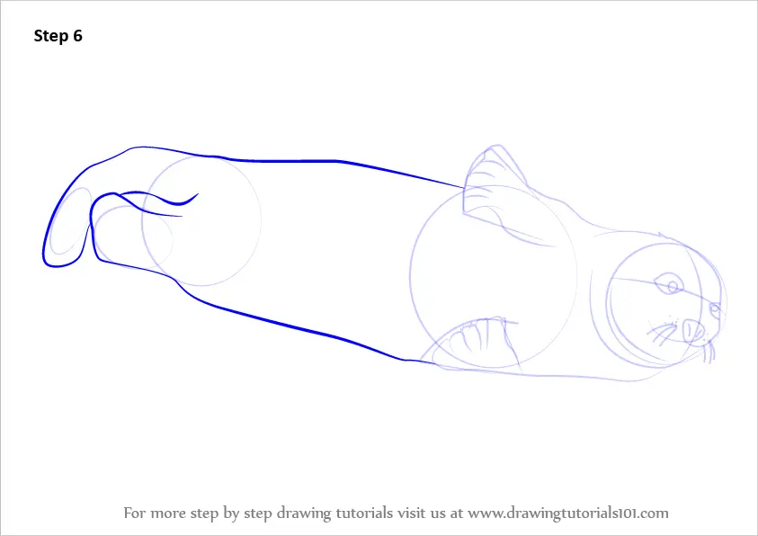 Learn How to Draw a Harp Seal (Seals) Step by Step : Drawing Tutorials