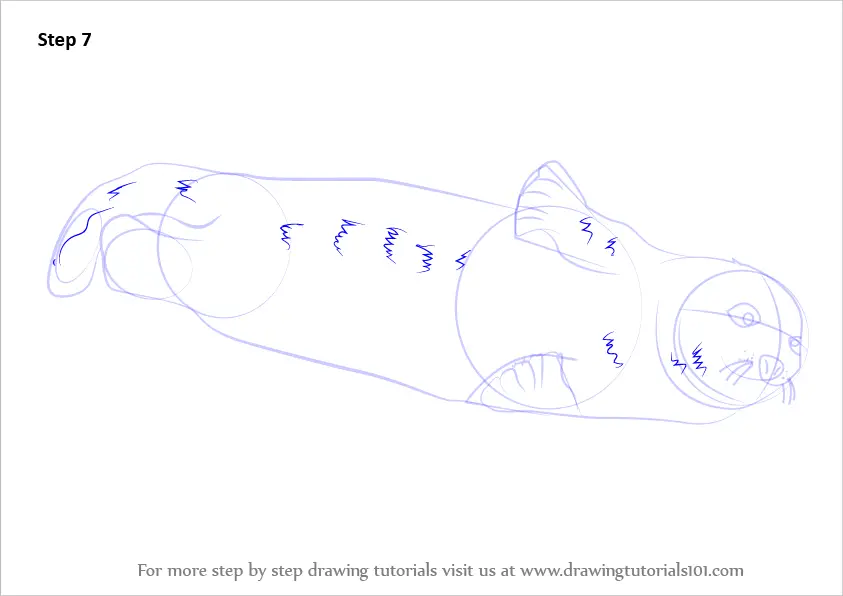Learn How to Draw a Harp Seal (Seals) Step by Step Drawing Tutorials