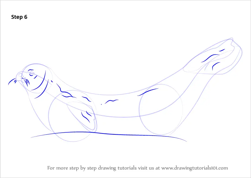 Learn How to Draw a Weddell Seal (Seals) Step by Step : Drawing Tutorials