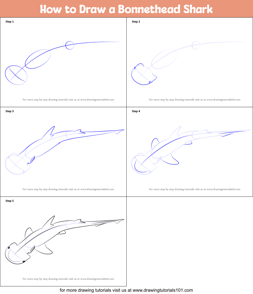 How to Draw a Shark printable step by step drawing sheet