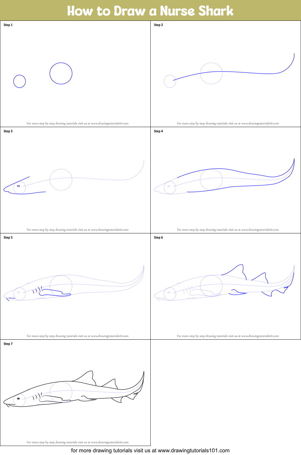 How to Draw a Nurse Shark printable step by step drawing sheet