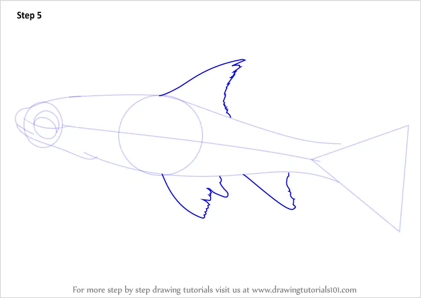 Learn How to Draw a Silver Shark (Sharks) Step by Step : Drawing Tutorials