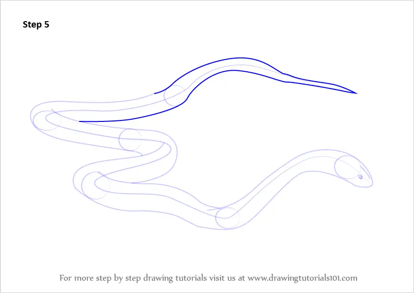 Learn How to Draw a King Brown Snake (Snakes) Step by Step Drawing