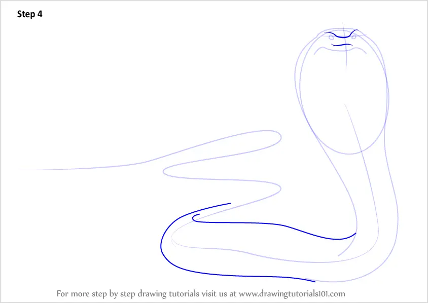 Learn How to Draw a Snake (Snakes) Step by Step : Drawing Tutorials