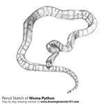 How to Draw a Sand Python