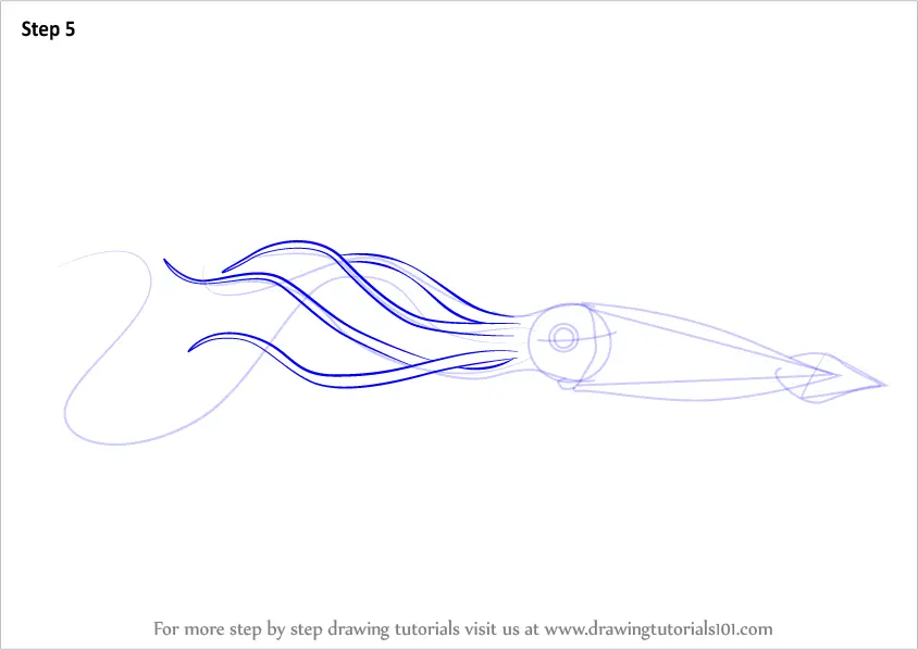Learn How to Draw a Giant Squid (Squids) Step by Step Drawing Tutorials