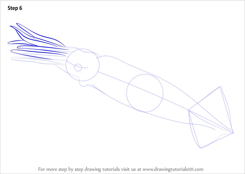 Learn How To Draw A Squid Squids Step By Step Drawing Tutorials 0282