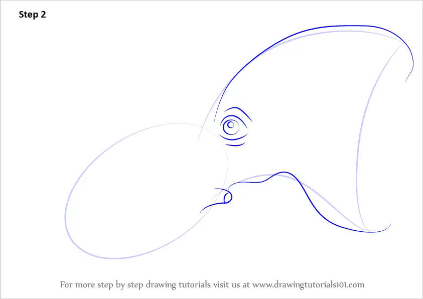 Learn How to Draw a Vampire squid (Squids) Step by Step Drawing Tutorials