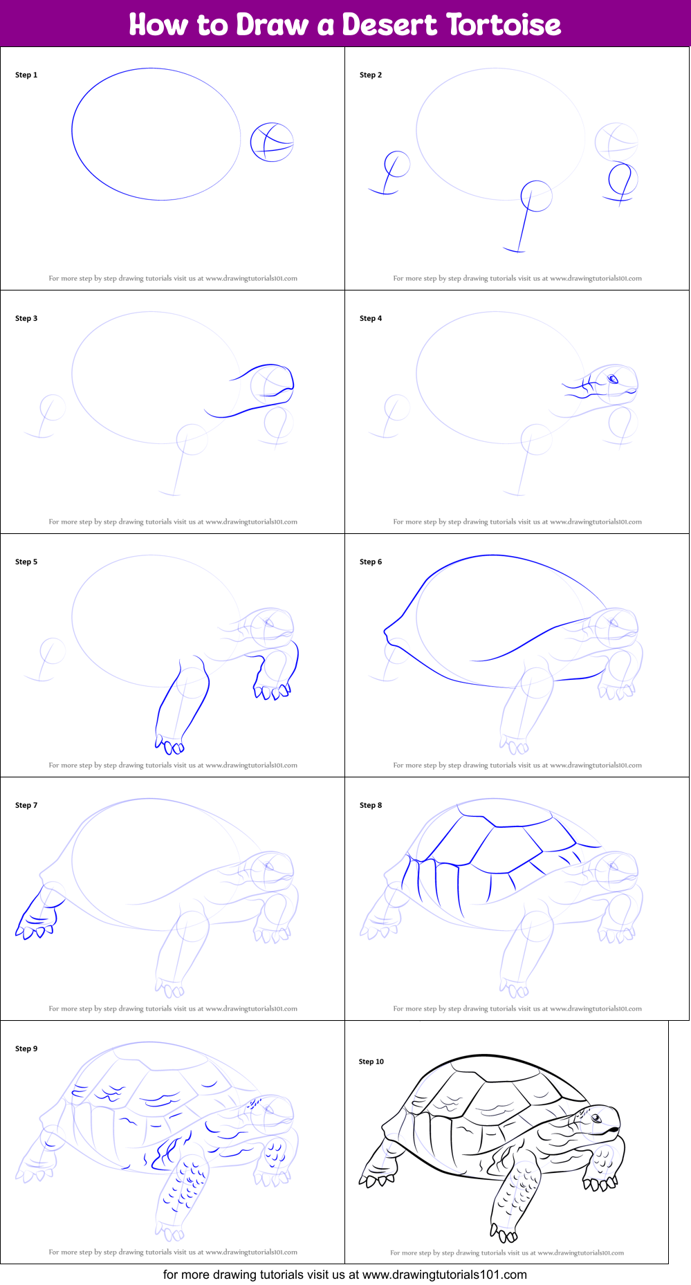 How to Draw a Desert Tortoise printable step by step drawing sheet ...