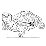 Learn How to Draw a Diamondback Terrapin (Turtles and Tortoises) Step ...