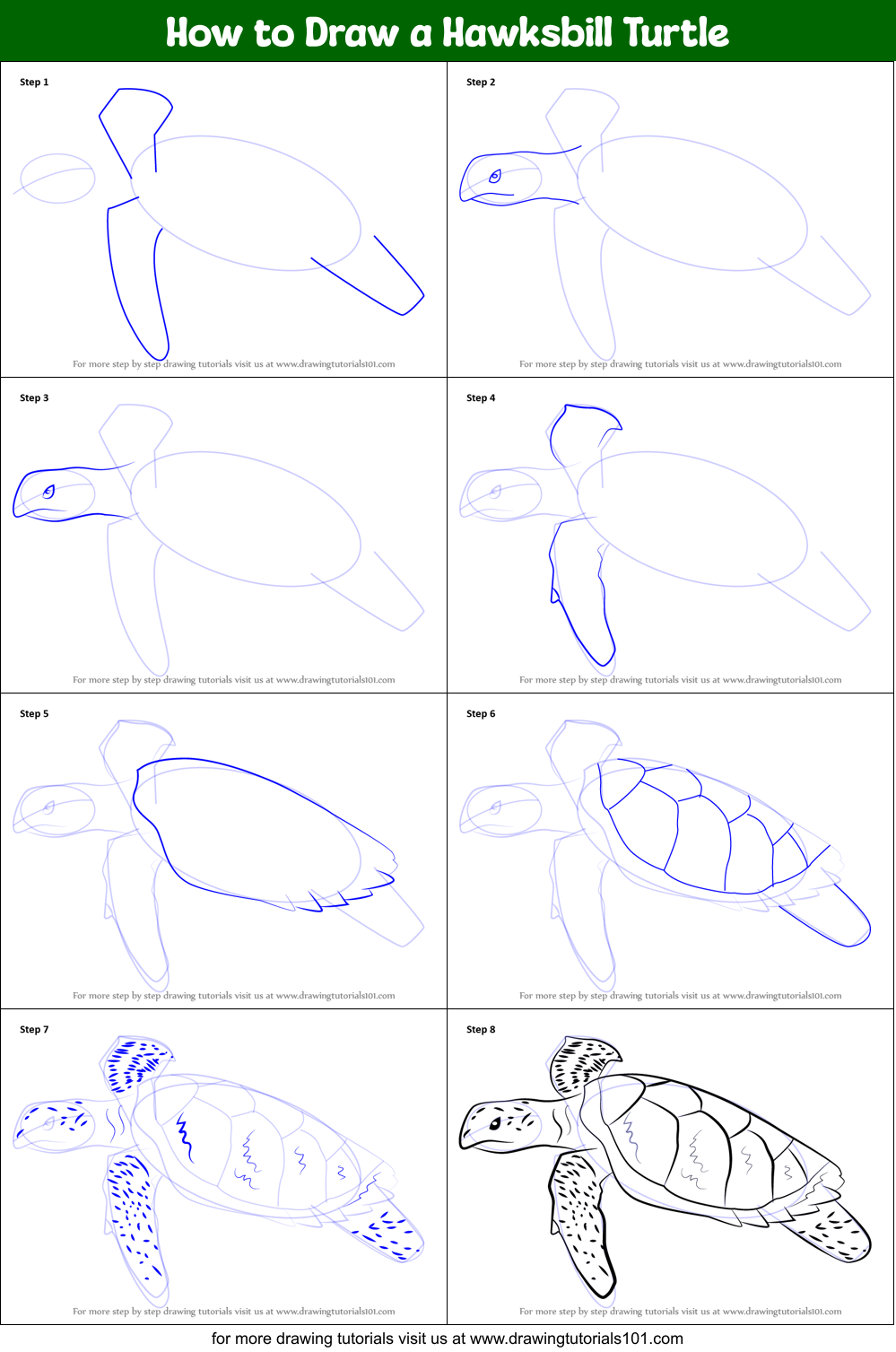 How to Draw a Hawksbill Turtle printable step by step