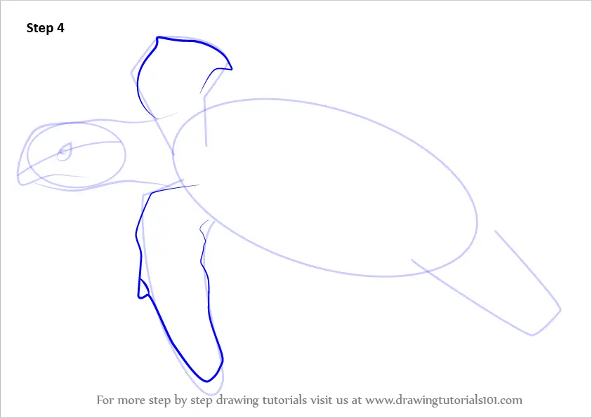 Learn How to Draw a Hawksbill Turtle (Turtles and Tortoises) Step by ...