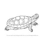 How to Draw a Pond Slider