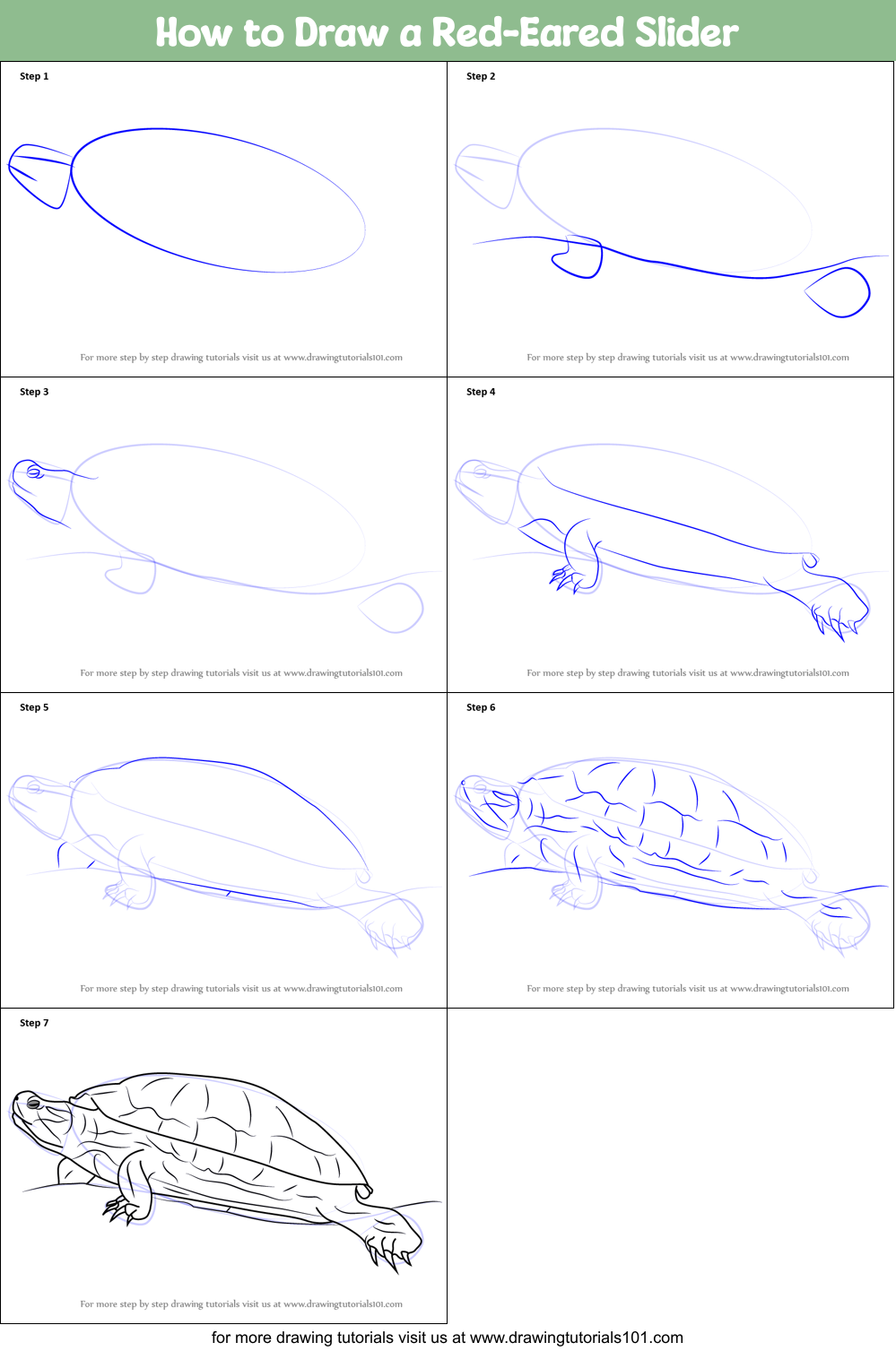 How to Draw a RedEared Slider printable step by step drawing sheet