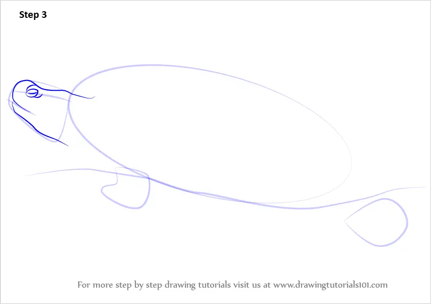 Learn How to Draw a RedEared Slider (Turtles and Tortoises) Step by