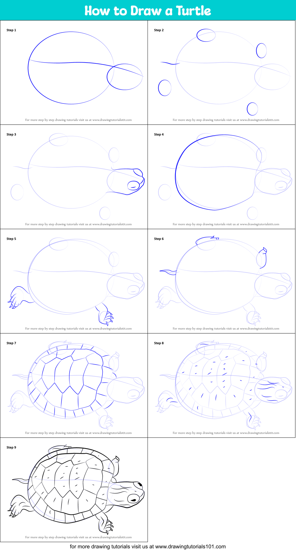 How to Draw a Turtle printable step by step drawing sheet ...