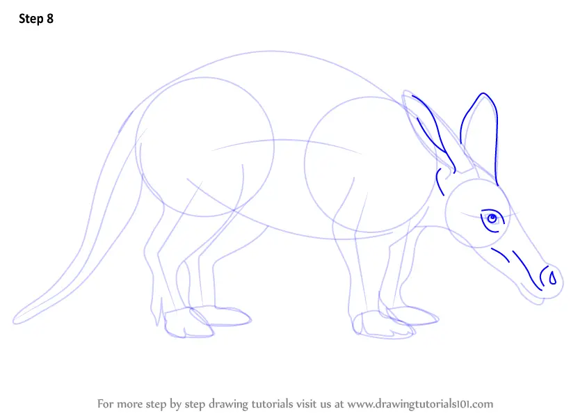 Step by Step How to Draw an Aardvark : DrawingTutorials101.com