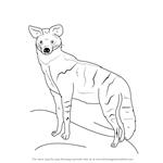 How to Draw an Aardwolf