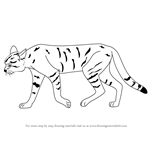 How to Draw an African Wildcat