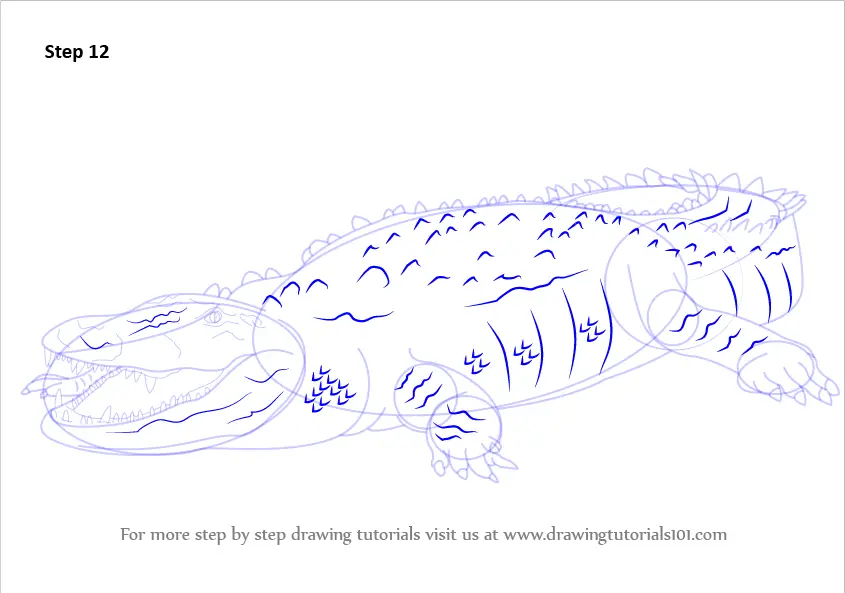 Learn How to Draw an American Crocodile (Wild Animals) Step by Step ...