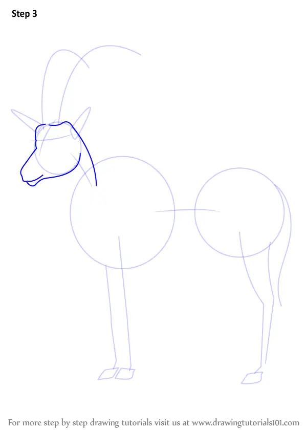 Learn How To Draw An Antelope (Wild Animals) Step By Step : Drawing ...