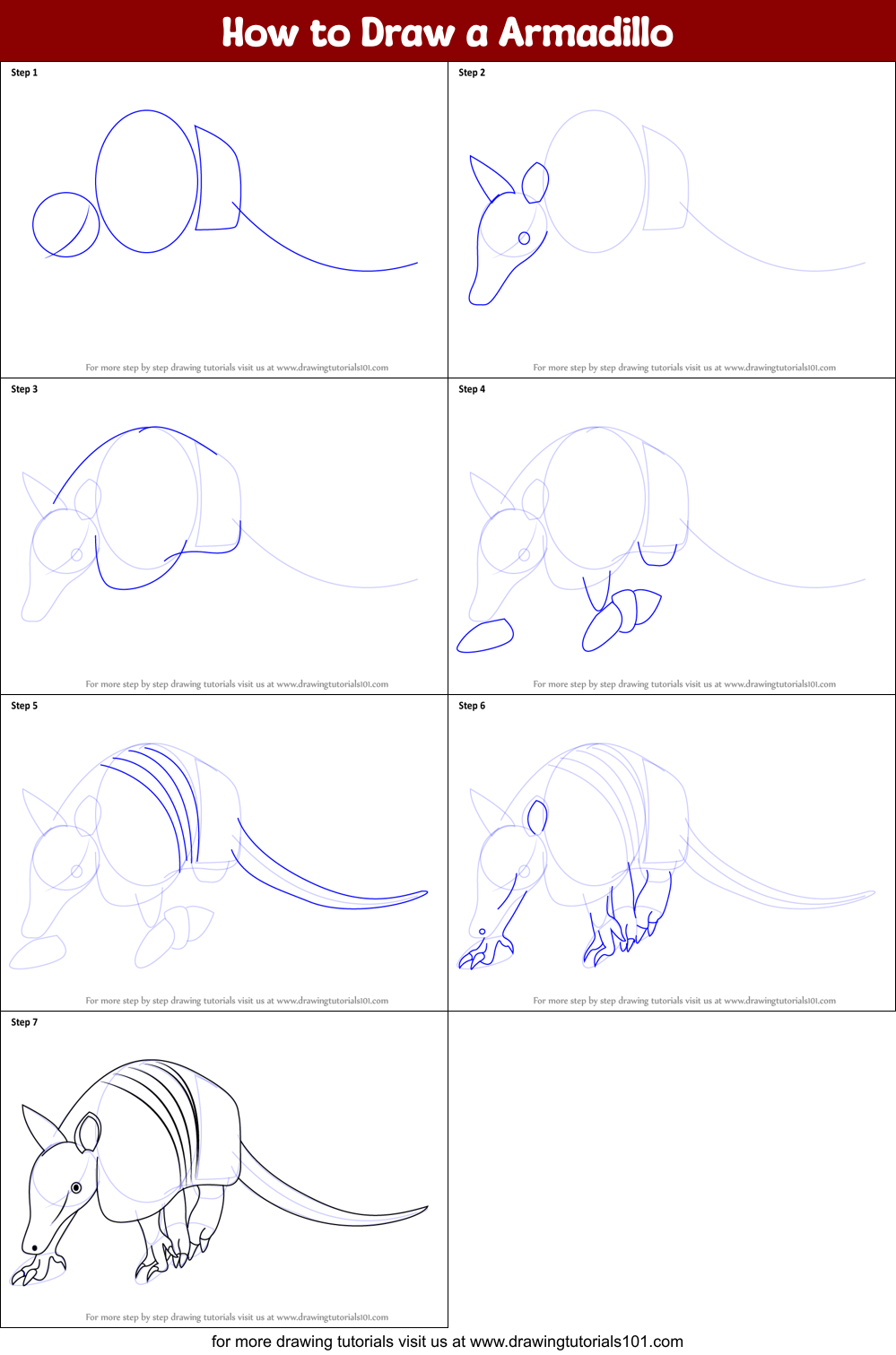 How to Draw a Armadillo printable step by step drawing sheet ...