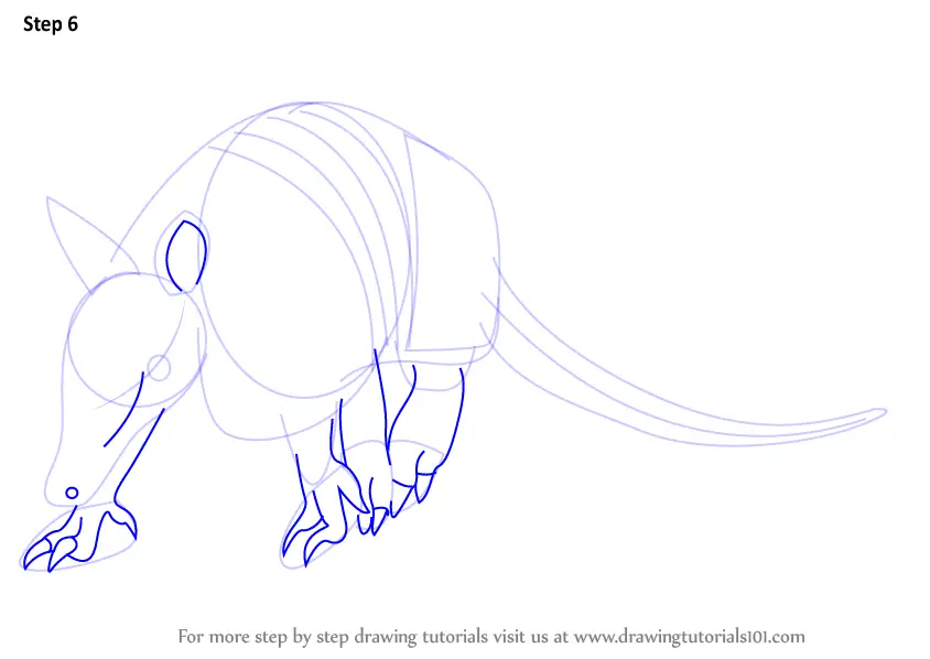 Learn How to Draw a Armadillo (Wild Animals) Step by Step : Drawing