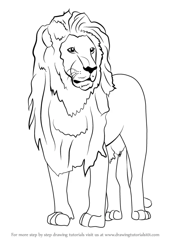 Learn How to Draw an Asian Lion (Wild Animals) Step by Step : Drawing ...
