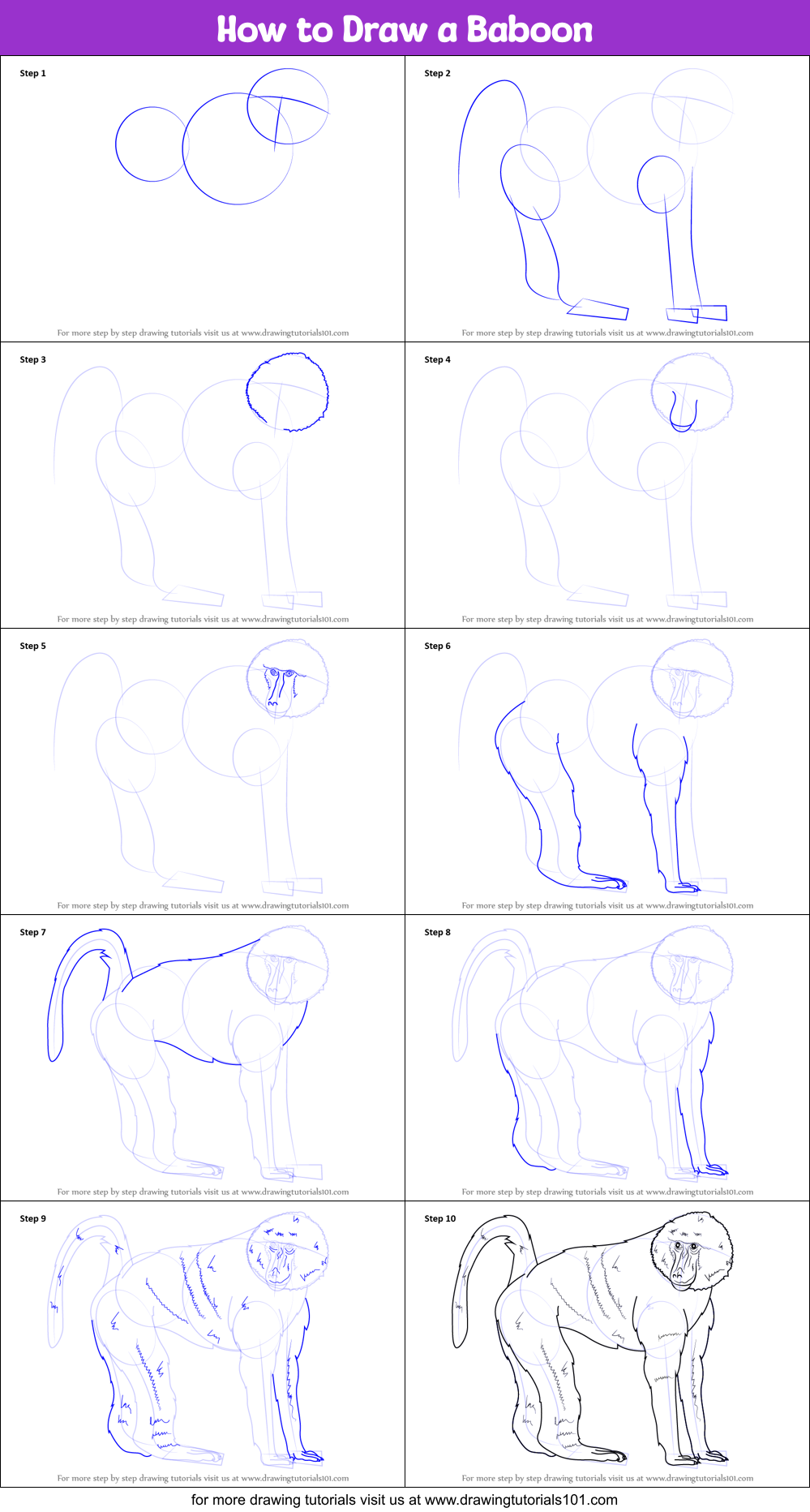 How to Draw a Baboon printable step by step drawing sheet