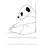 How to Draw a Baby Panda