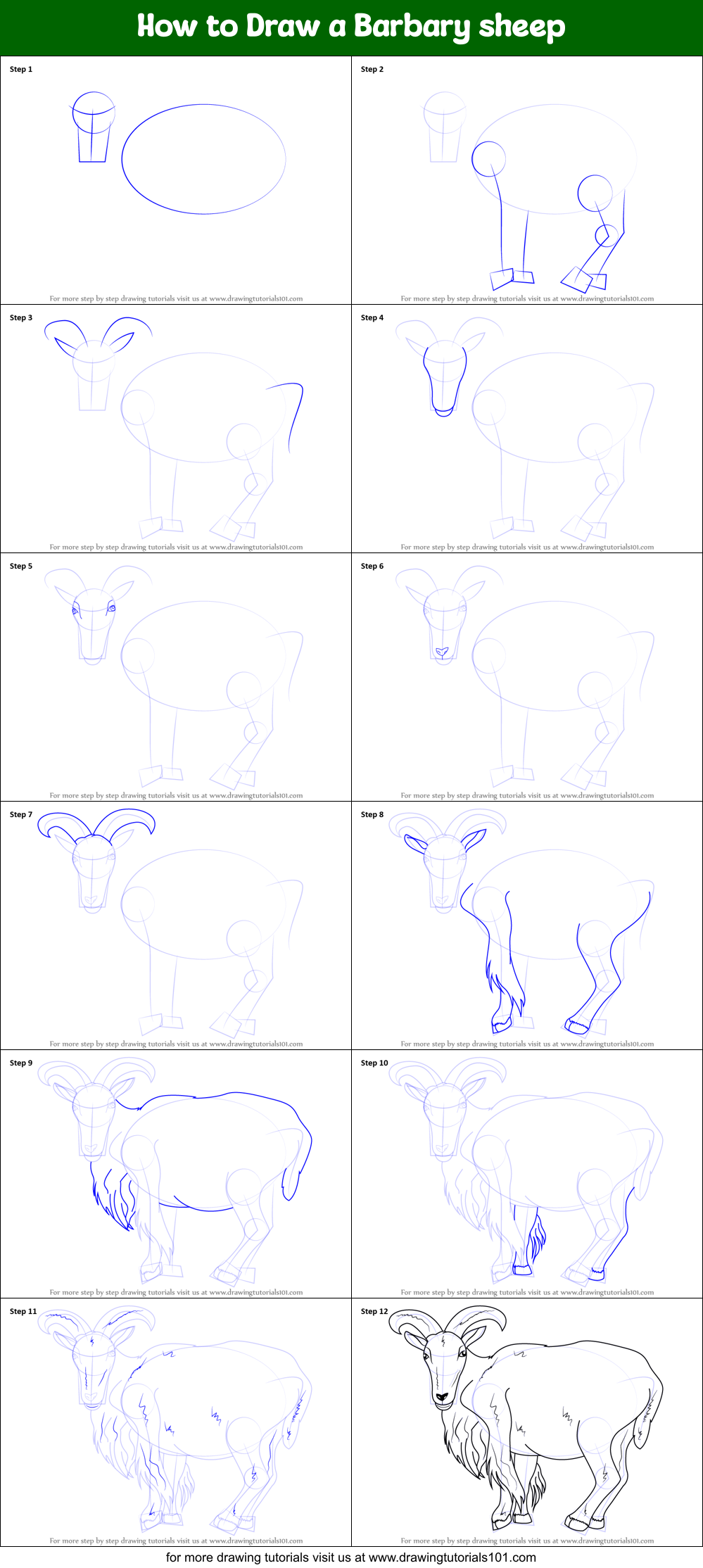 How To Draw A Barbary Sheep Printable Step By Step Drawing Sheet 