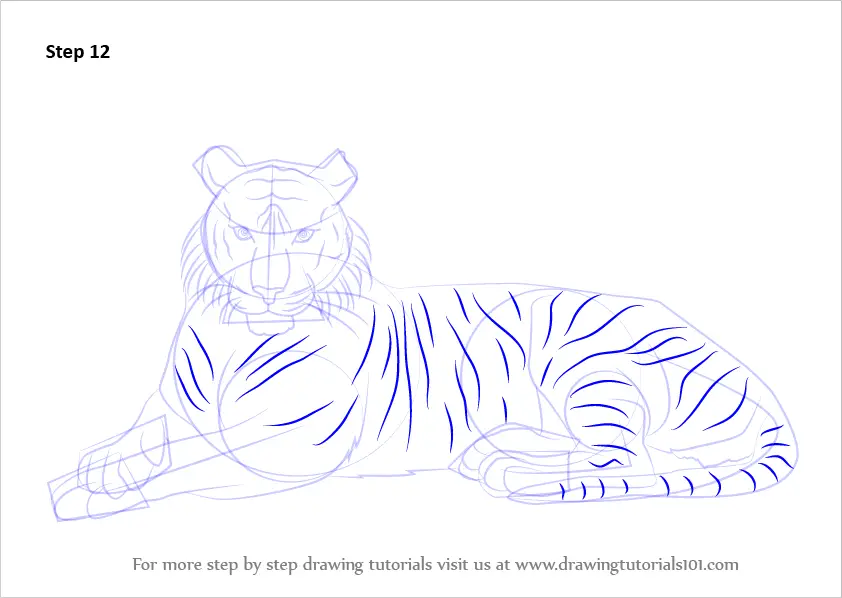 Learn How to Draw a Bengal Tiger (Wild Animals) Step by Step Drawing