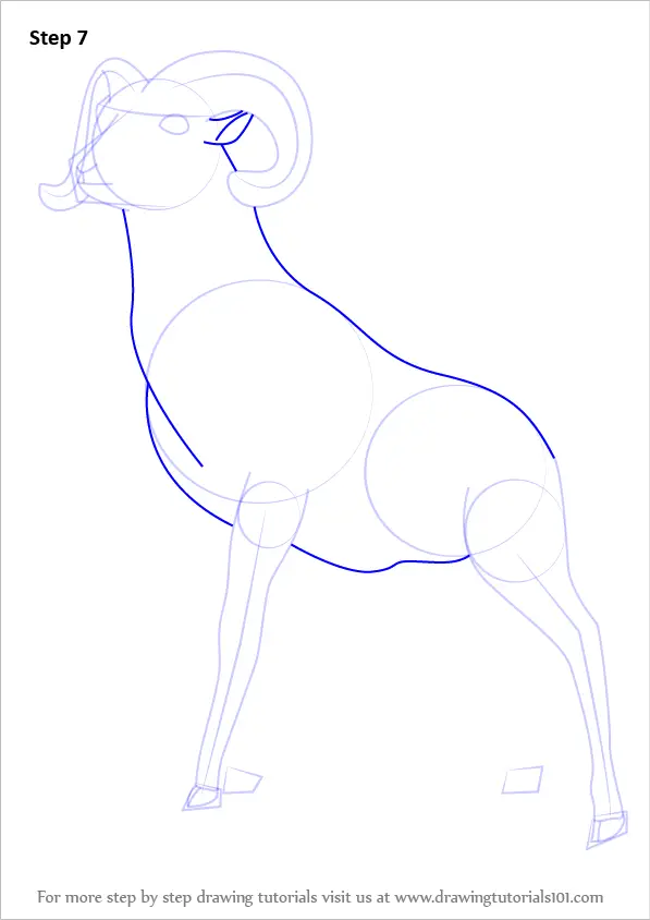 Step by Step How to Draw a Bighorn sheep