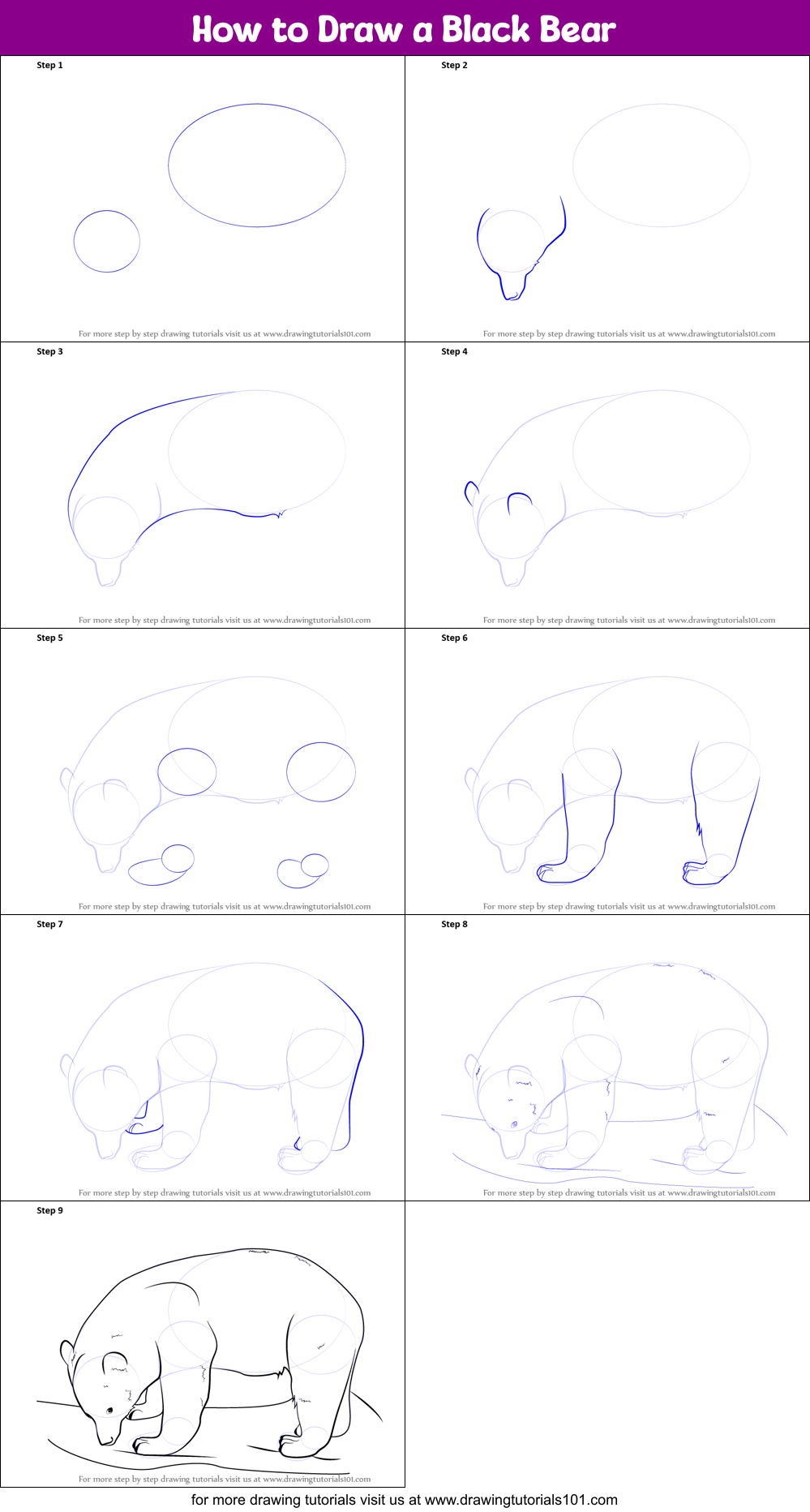 How to Draw a Black Bear printable step by step drawing sheet ...