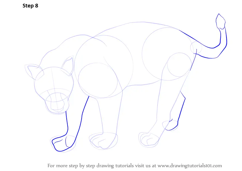 Learn How to Draw a Black Panther (Wild Animals) Step by Step Drawing