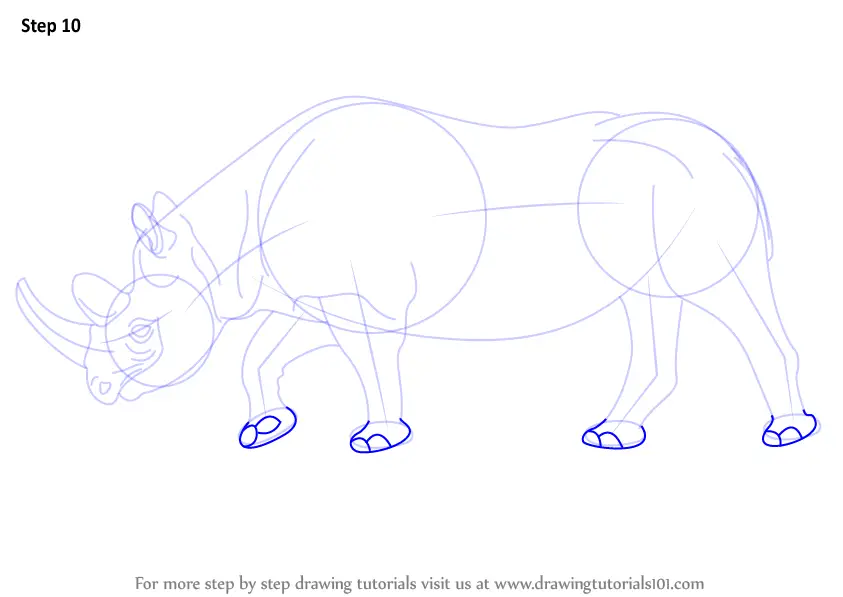 Step by Step How to Draw a Black Rhinoceros