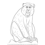 How to Draw a Blue Monkey