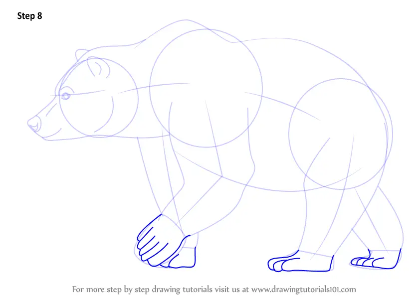 Learn How to Draw a Brown Bear (Wild Animals) Step by Step : Drawing ...