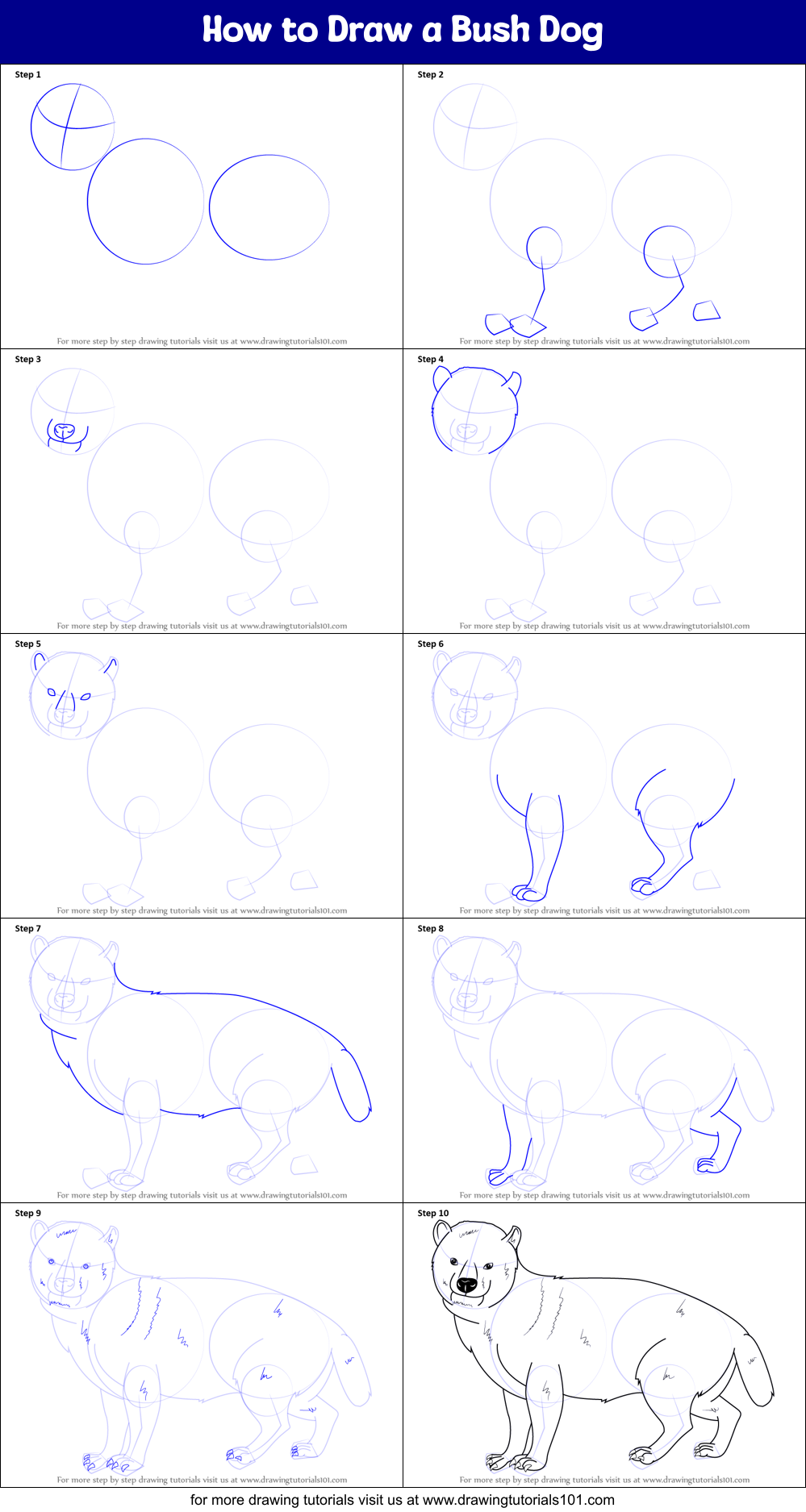 How to Draw a Bush Dog printable step by step drawing sheet ...