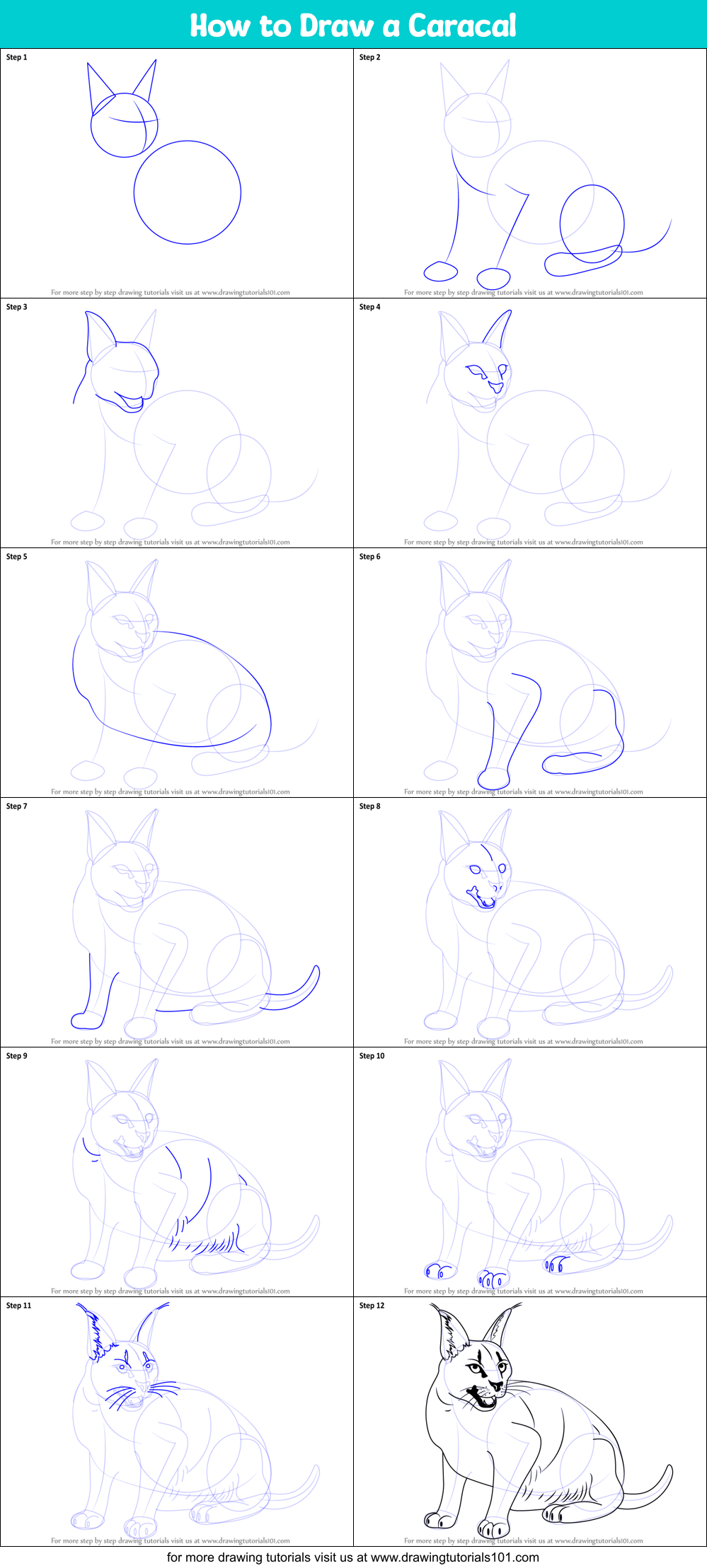 Amazing How To Draw A Caracal Step By Step of all time Check it out now 