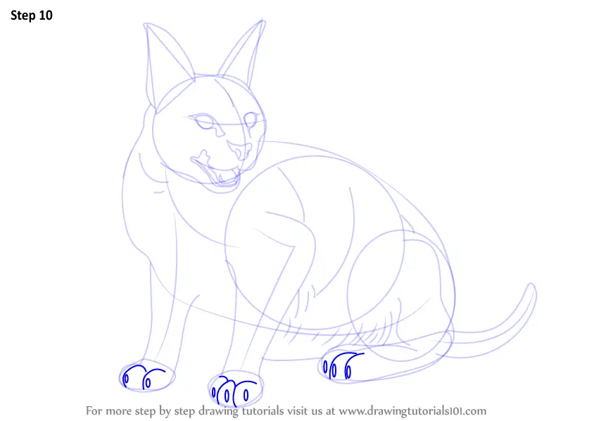 Learn How to Draw a Caracal (Wild Animals) Step by Step : Drawing Tutorials