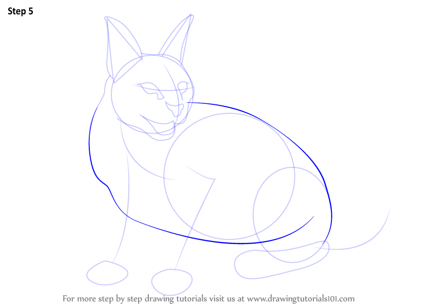 Learn How to Draw a Caracal (Wild Animals) Step by Step : Drawing Tutorials