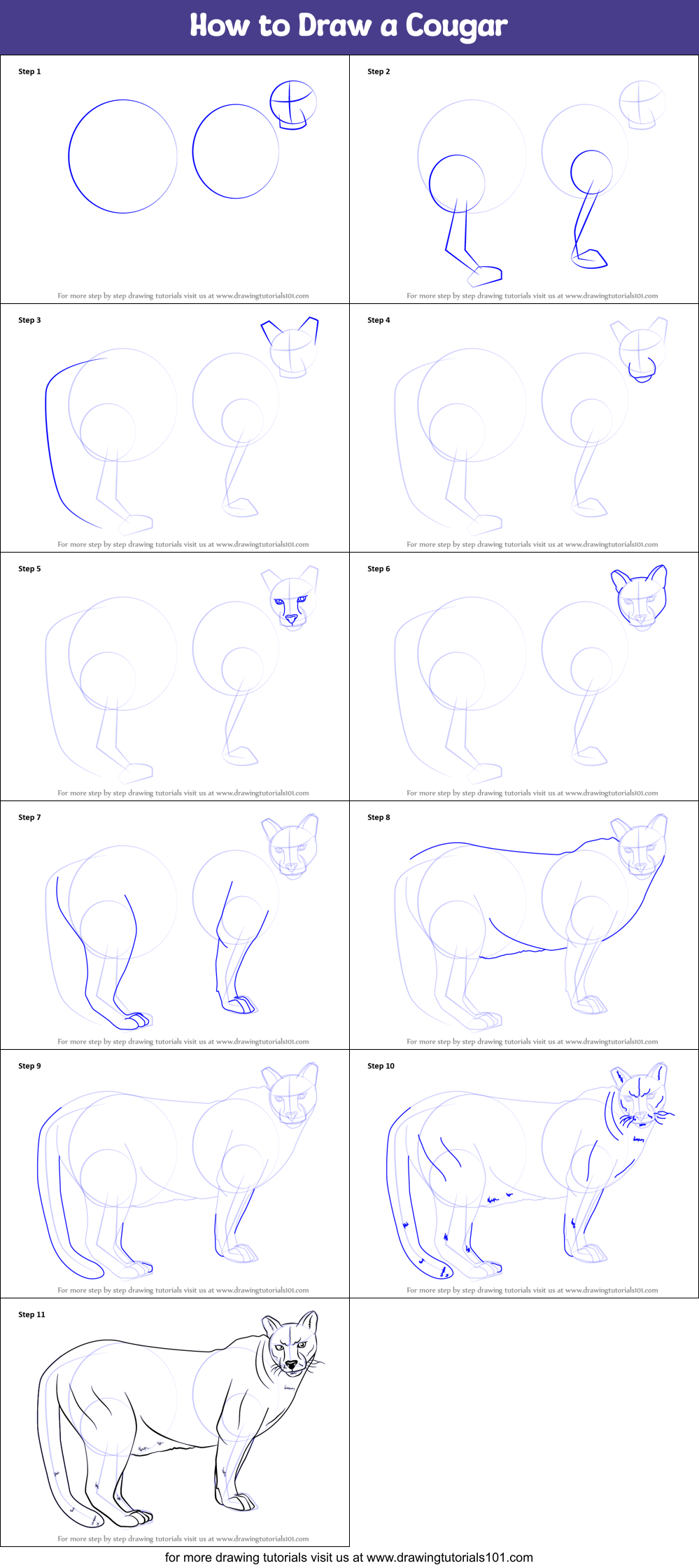 How to Draw a Cougar printable step by step drawing sheet