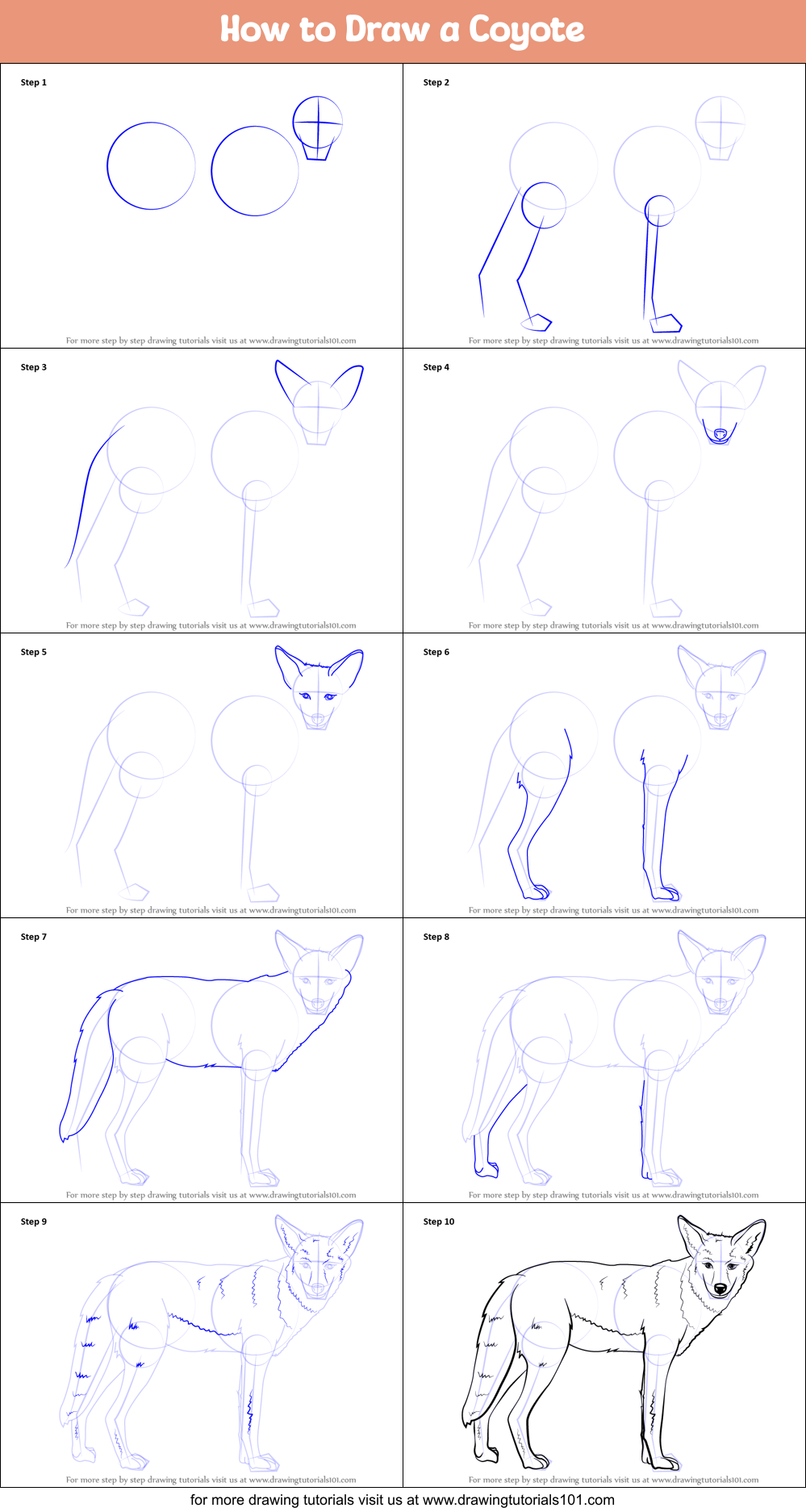 how-to-draw-a-coyote-printable-step-by-step-drawing-sheet