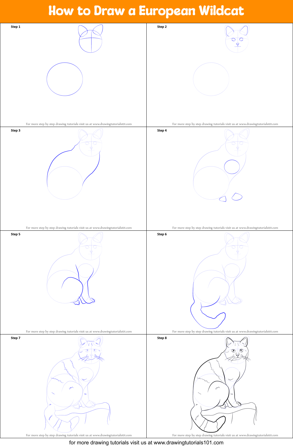 How to Draw a European Wildcat printable step by step drawing sheet ...