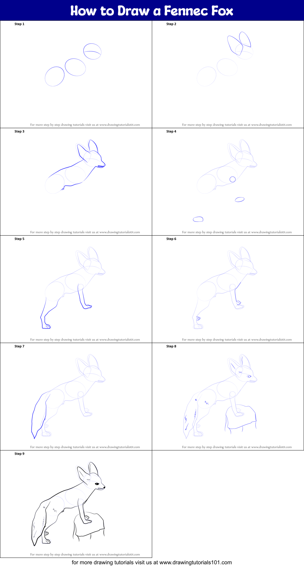 How to Draw a Fennec Fox printable step by step drawing sheet