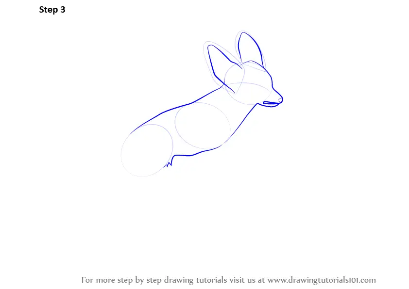 Learn How to Draw a Fennec Fox (Wild Animals) Step by Step Drawing