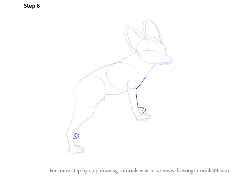 Learn How to Draw a Fennec Fox (Wild Animals) Step by Step : Drawing