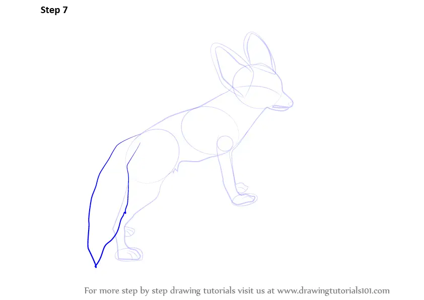 Learn How to Draw a Fennec Fox (Wild Animals) Step by Step Drawing